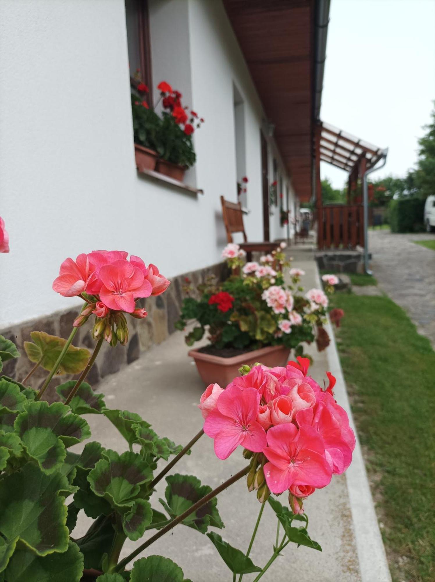 Kemences Vendeghaz Otel Mikohaza Dış mekan fotoğraf
